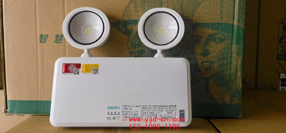 勞士智能應(yīng)急雙頭燈L8289 LS.jpg