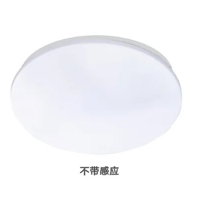 勞士A型DC36V應(yīng)急吸頂燈L-ZFJC-E6W7116
